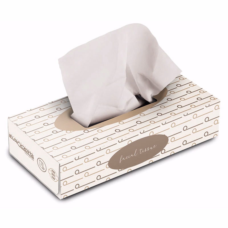 Immagine di Fazzoletti di carta VELINE VISAGE 2 veli 100pz